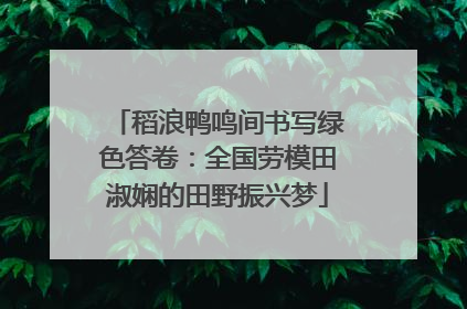 稻浪鸭鸣间书写绿色答卷：全国劳模田淑娴的田野振兴梦